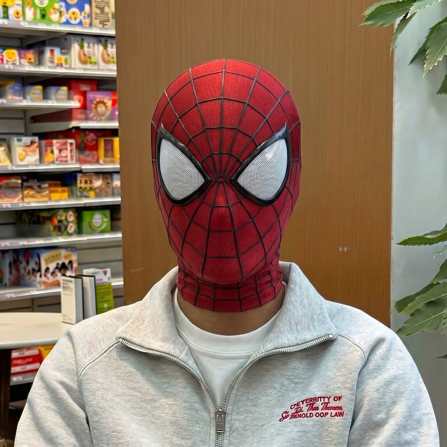 Realistic The Amazing Spider-Man 2 Mask (2014)