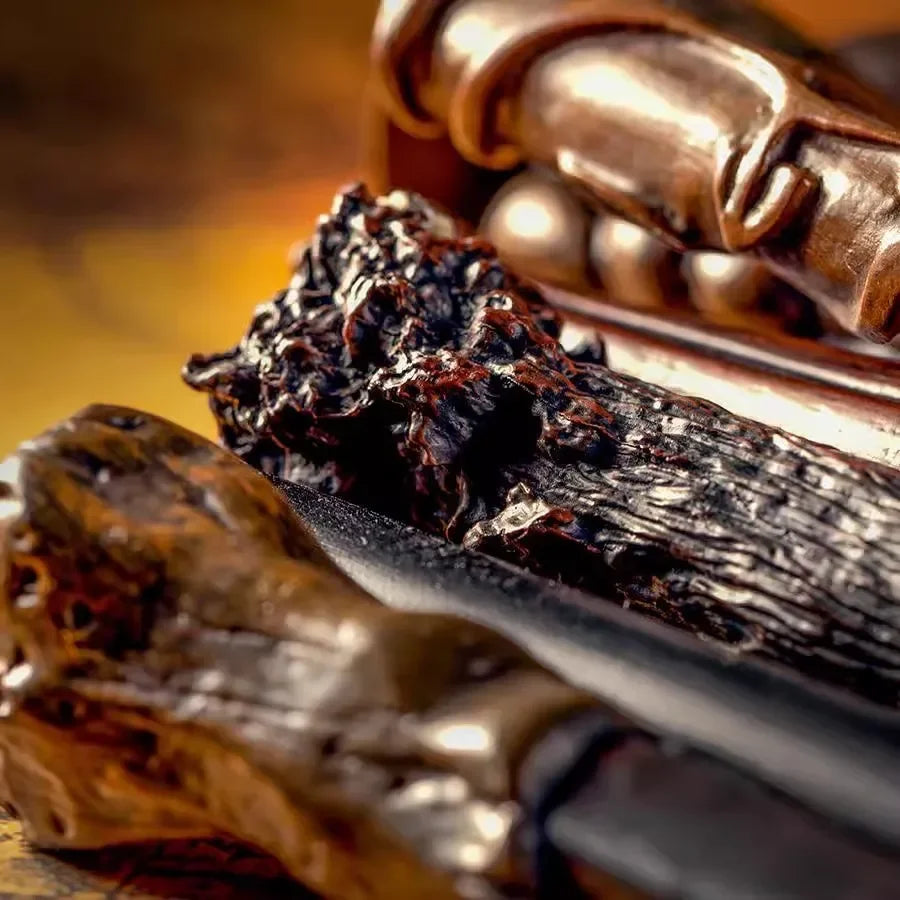 2026 Kinds of Metal Core Magic Harried Wands Malfoy Voldmort Hermione Ron Bellatrix Mcgonagall Magical Potters Wand